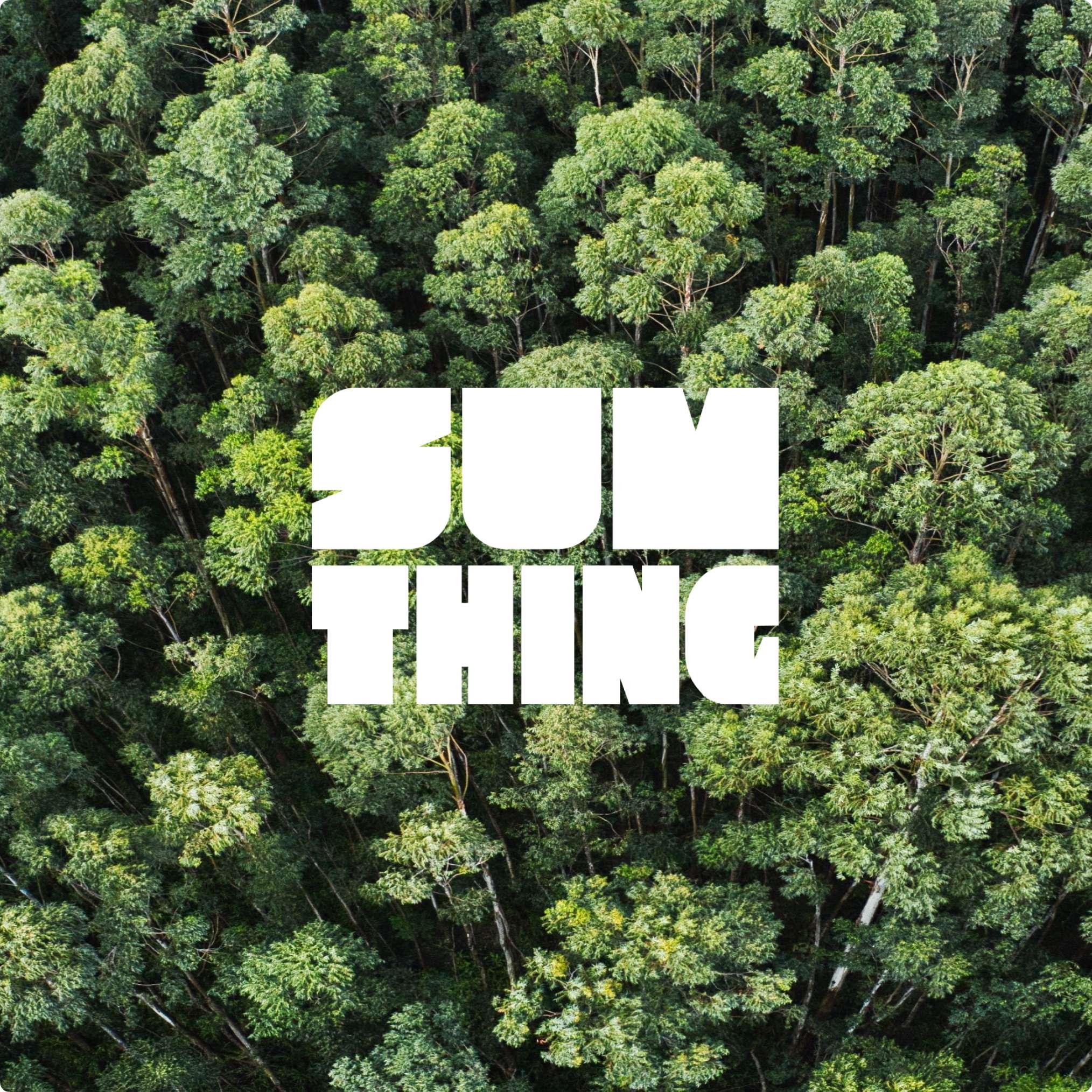 sumthing logo