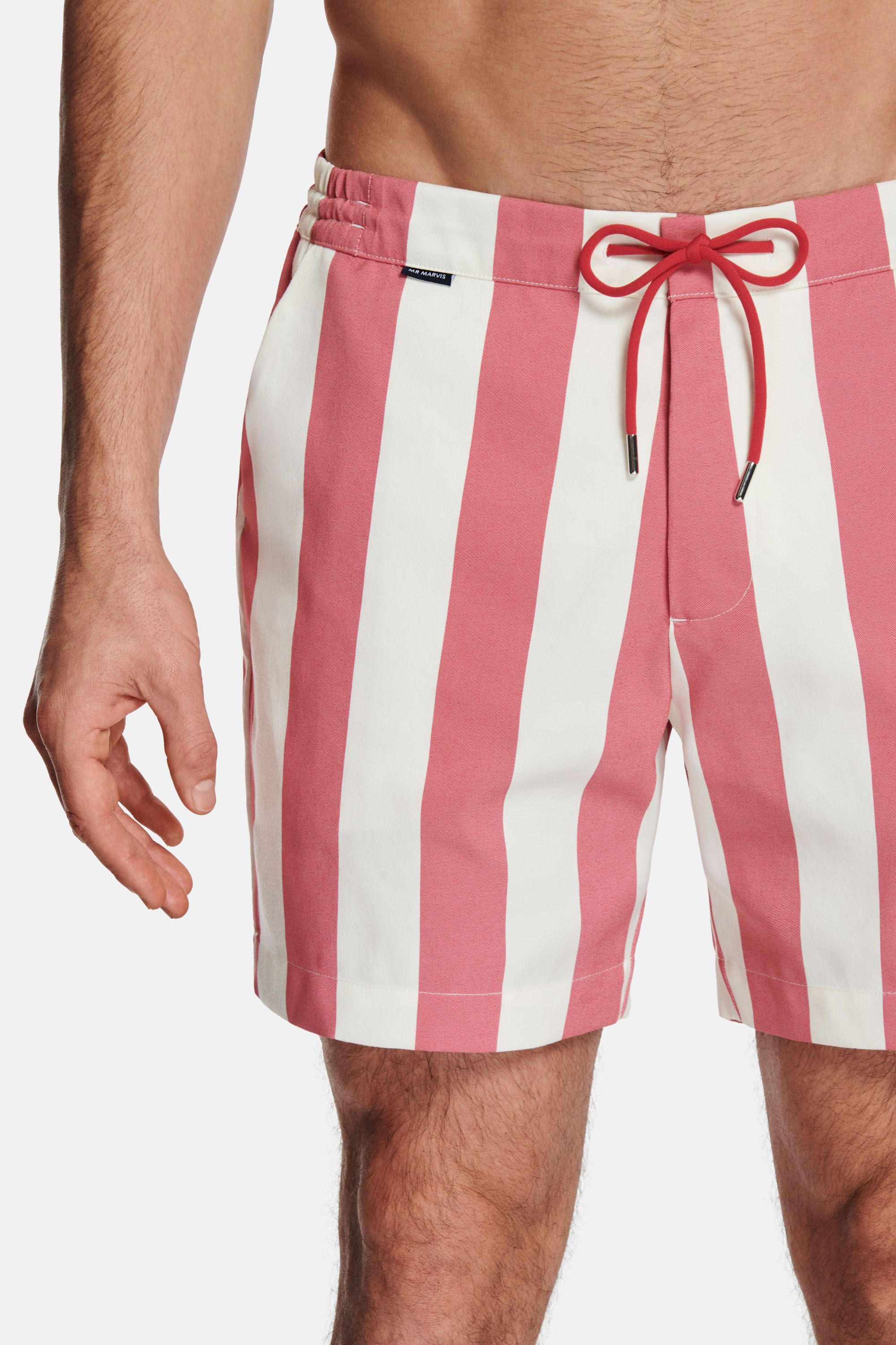 Lifebuoys * Shorts de Bain Rayés