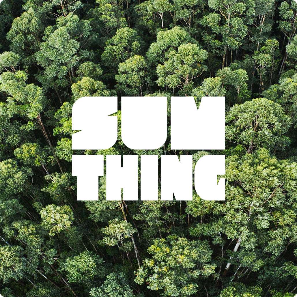 sumthing logo