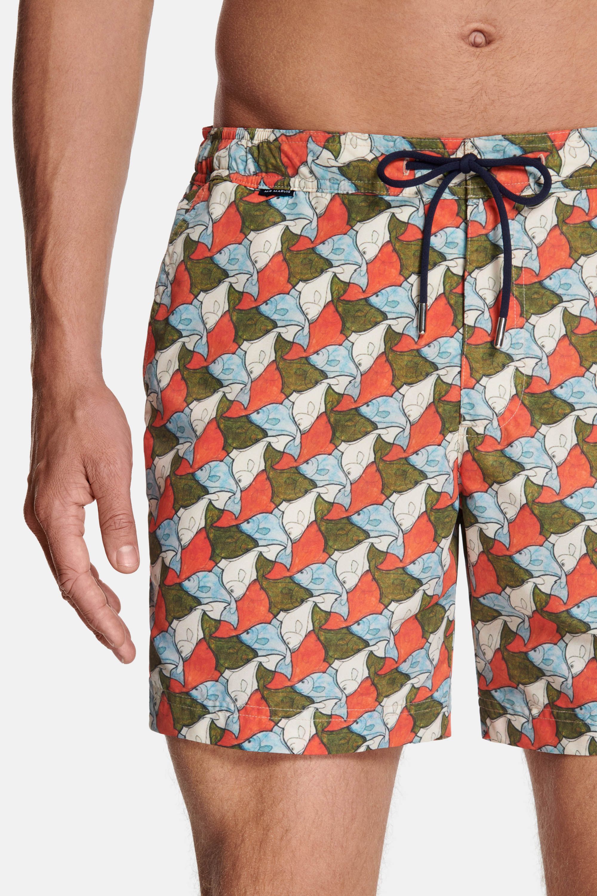 Fishes * The Print Swims