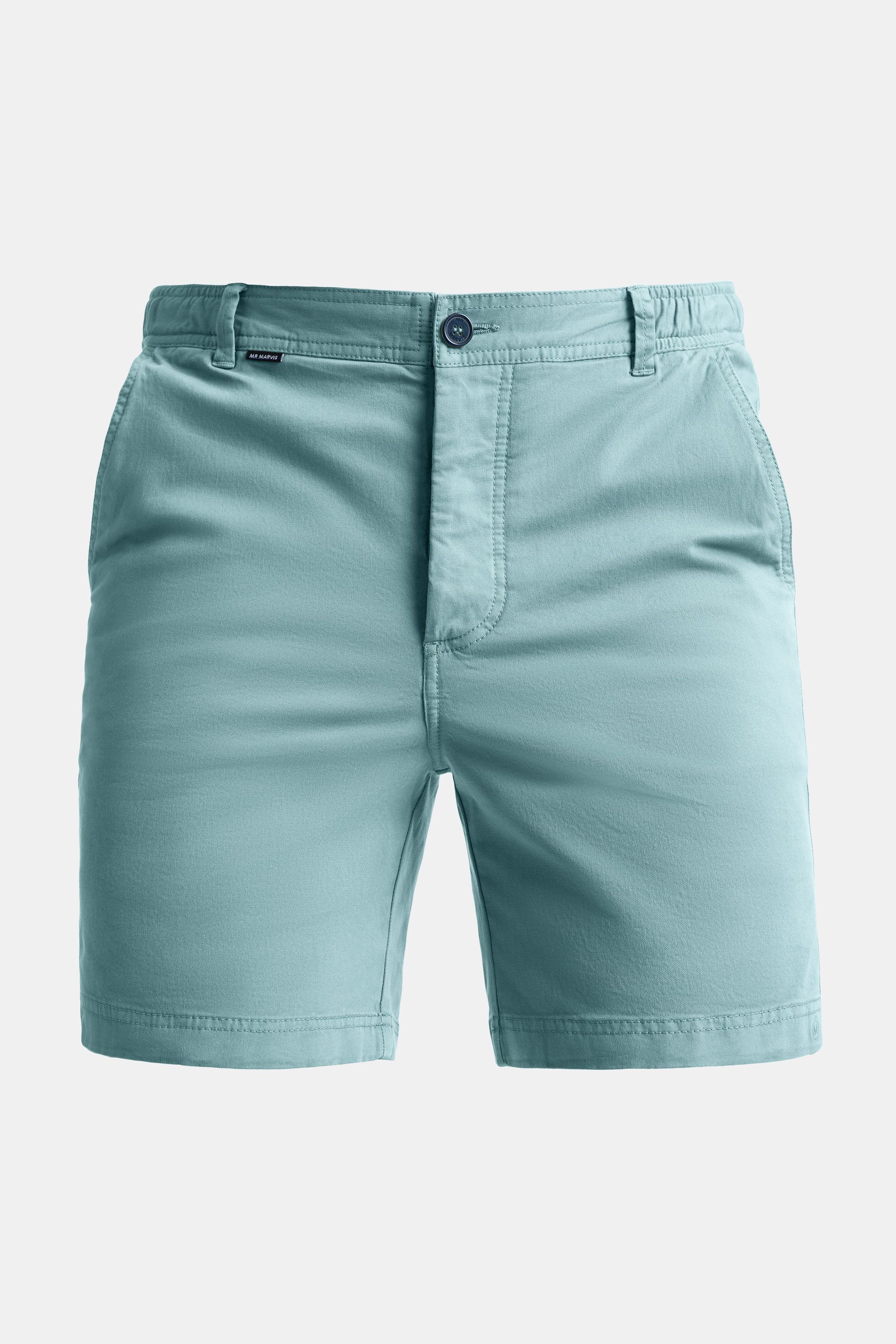 Mens stretch chino shorts in blue green