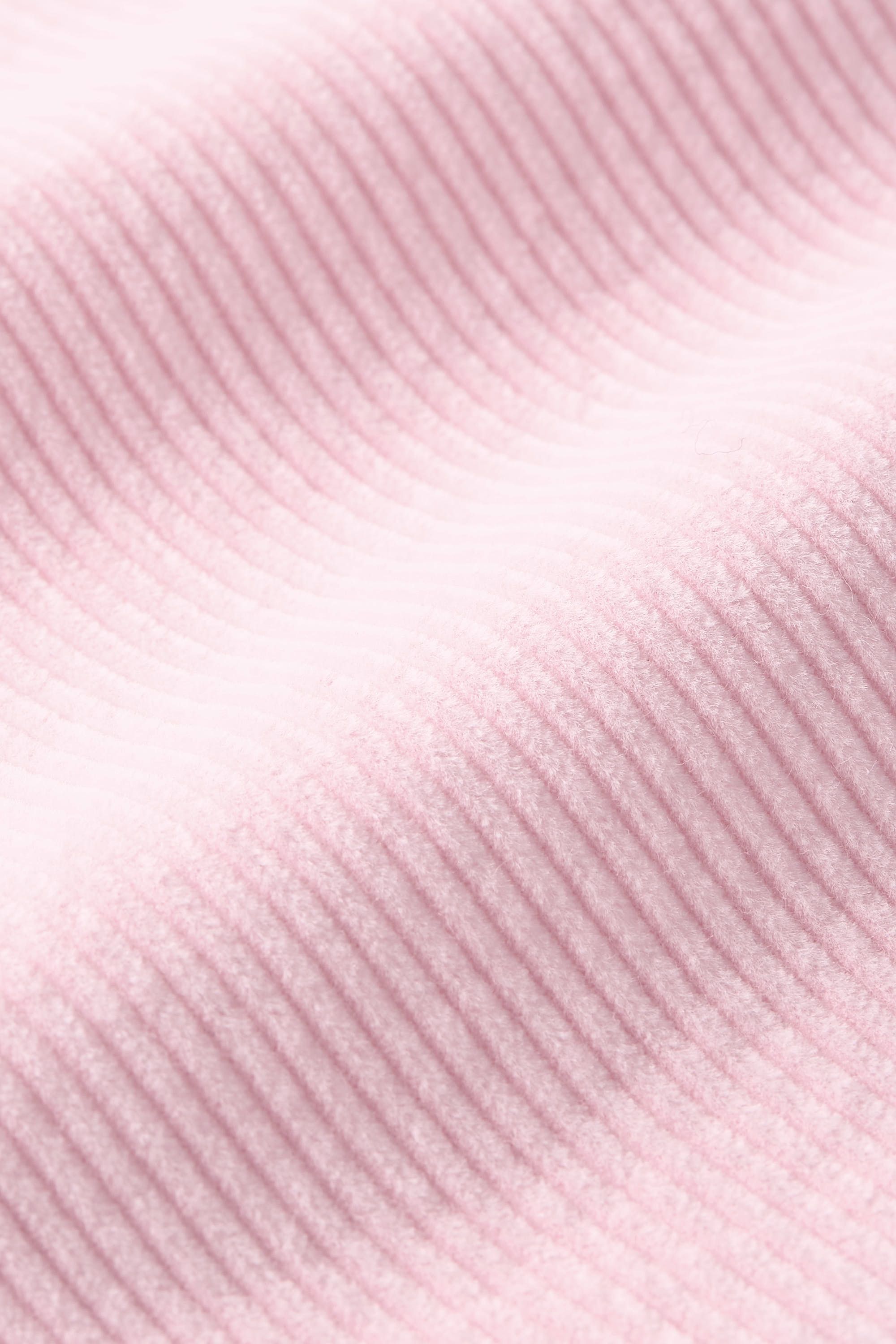 Flamingos * The Short Cords