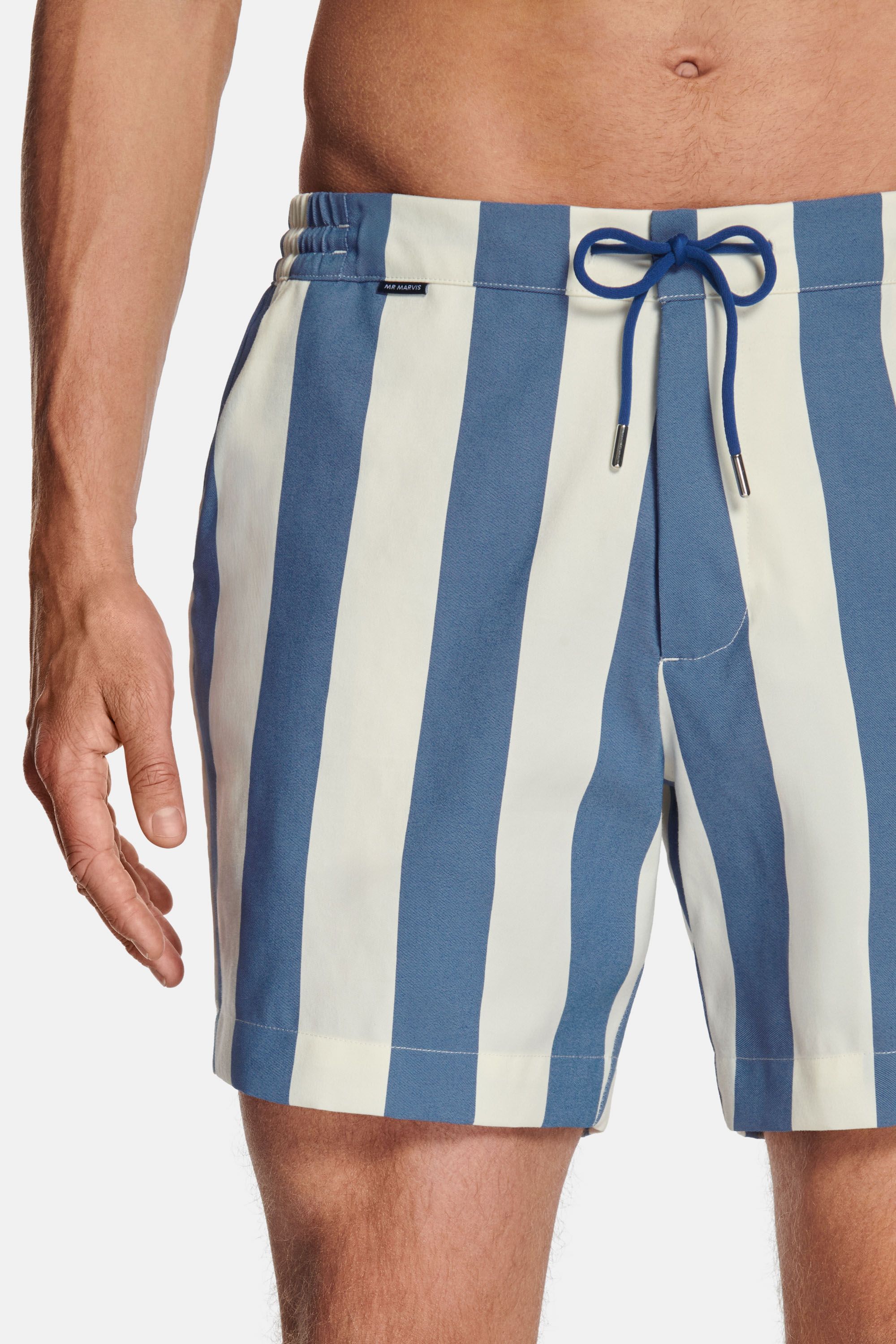 Wakes * Die Big Stripe Badeshorts